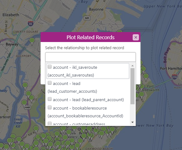 Microsoft Dynamics CRM Maps Integration