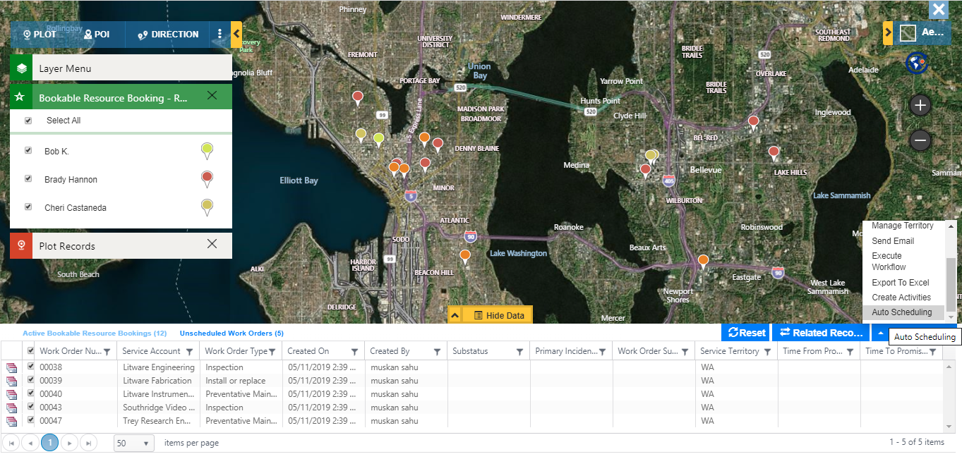 Maplytics Detail Map