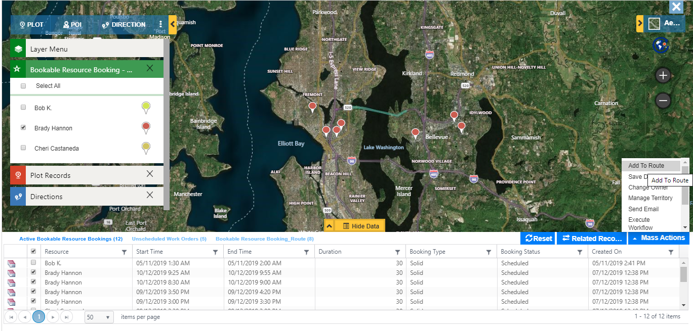 Maplytics Detail Map