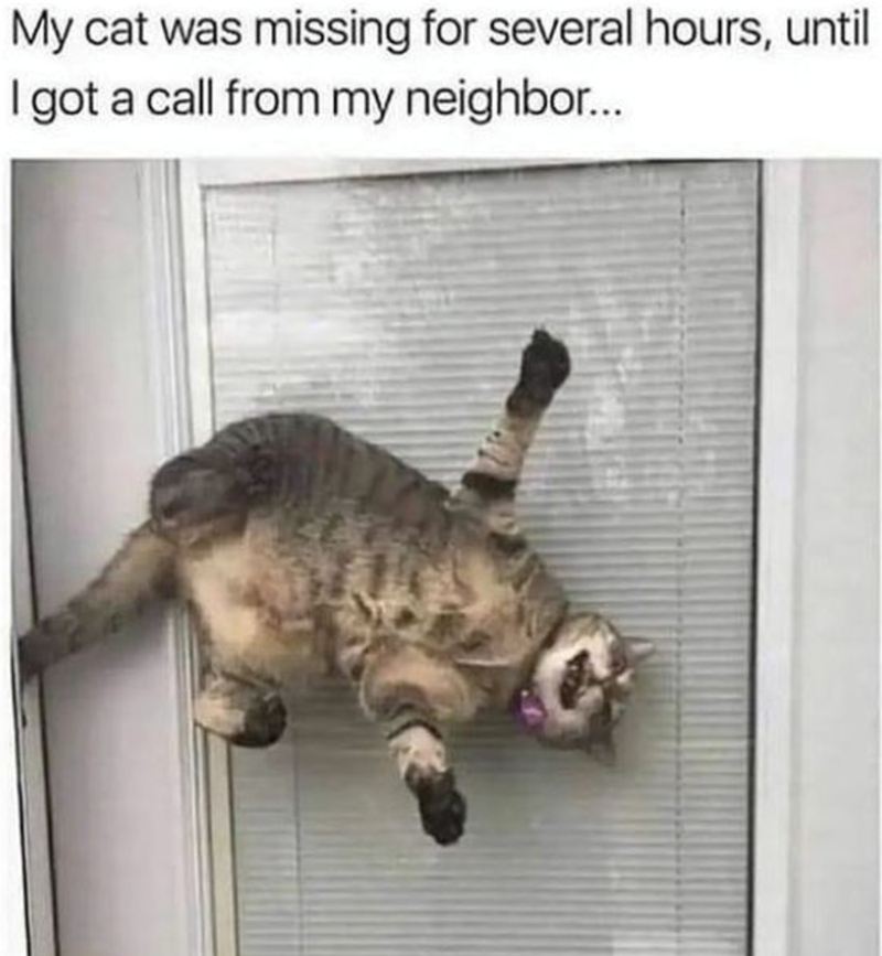 Memes That Location Intelligence Could Fix