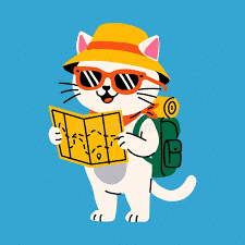 How a Sales Team Increased Conversions by 40% with Better Territory Management